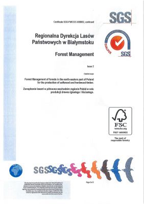 Zertifikat SGS die Zweigstelle in Bialystok 2/2